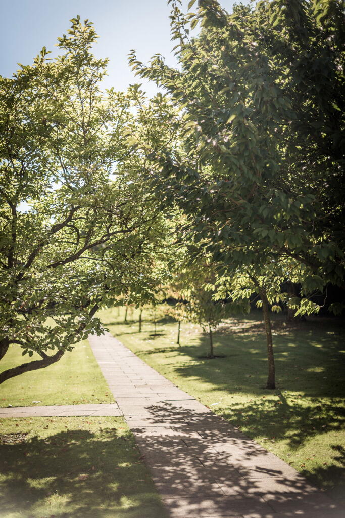 Apt 3, Denston Court, Sutton Coldfield, Four Oaks photo 3