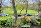 Additional image 2 of Tabley Road, Knutsford, Cheshire, WA16