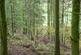 Additional image 10 of Coed Pen Y Bont (almost 11 and a half acres), Tal-y-Llyn, Tywyn, Gwynedd LL36