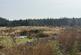 Additional image 4 of Nebo, Llanon, SY23