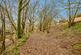 Additional image 38 of Pencader, Carmarthenshire SA39