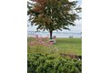 Additional image 26 of 18 Robin Way, Great Neck, NY, 11021
