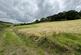 Additional image 44 of Llanafan, Aberystwyth