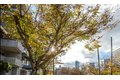 Additional image 4 of 1718 Melrose Ave Apt 212, Seattle, WA, 98122