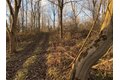 Additional image 5 of Benson, Victor, NY, 14564