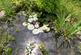 Additional image 19 of Llanfihangel-ar-Arth, Ceredigion SA39