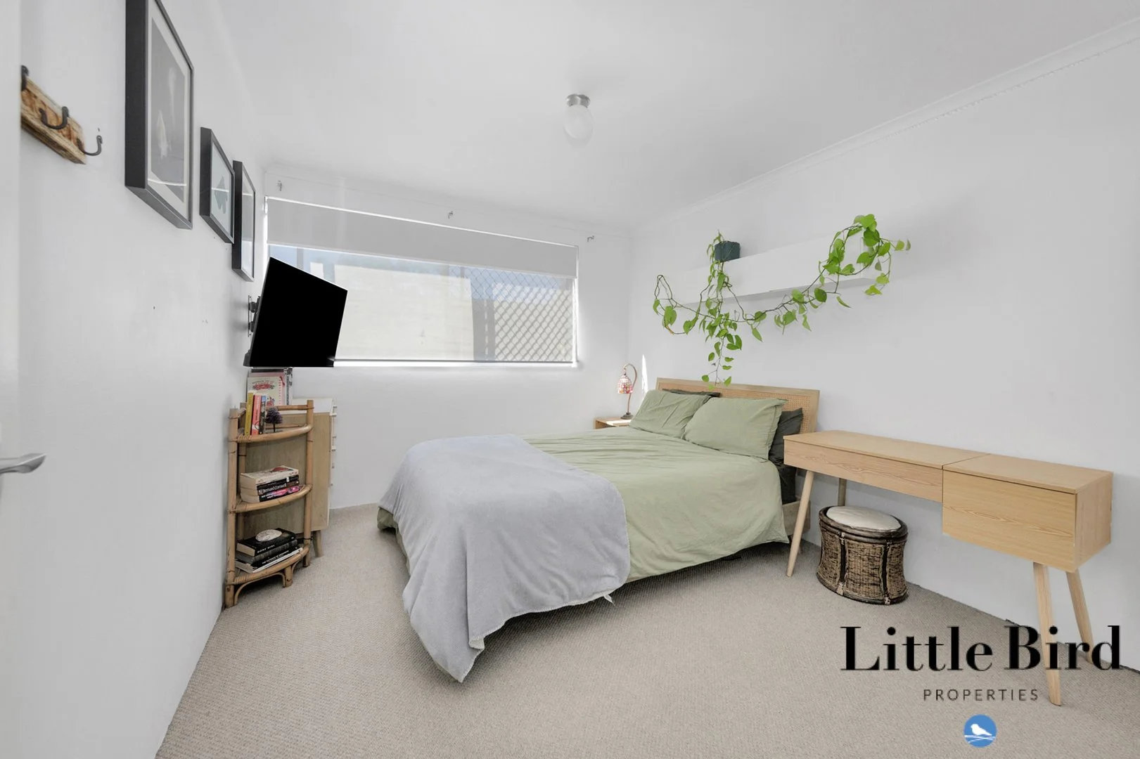 Additional image 13 of 4/49 Lambrigg Street, Farrer ACT 2607