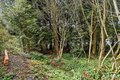 Additional image 32 of 23018 35th Ave W, Brier, WA, 98036