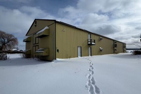 Additional image 7 of Barn 4-641 Canal Road, Bradford West Gwillimbury, ON, L3Z 2A6