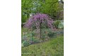 Additional image 45 of 135 Allengate Ave, Pittsfield, MA, 01201