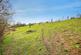 Additional image 36 of Pencader, Carmarthenshire SA39