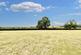Additional image 24 of Hatton Manor, Cotes Heath, ST21
