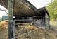 Additional image 77 of Trefenter, Aberystwyth, SY23