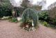 Additional image 13 of Higgs Field Crescent, Cradley Heath B64