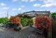 Additional image 16 of Little Elms, Rye Hill, Harlow