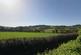 Additional image 11 of Cokers Elm, Stockland, Honiton, Devon, EX14