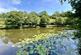 Additional image 56 of Seven Characterful Cottages & 4.5 Acres, West Down, Devon, EX34