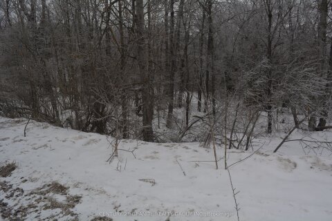 Additional image 5 of 0 Sucie Road, Highlands East, ON, K0L 2A0