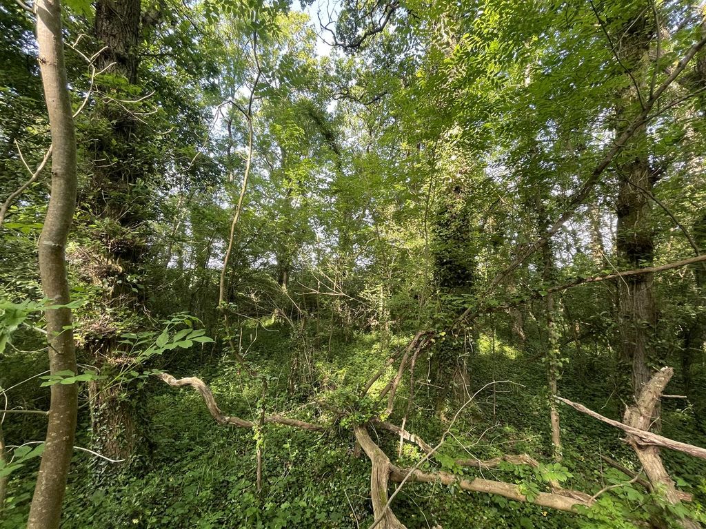 Additional image 4 of Land for saleLongburton, Sherborne, Dorset DT9