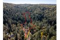 Additional image 39 of 1610 Swansboro Rd, Placerville, CA, 95667