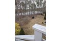 Additional image 11 of 222 Buck Island Rd Apt 4-5, Yarmouth, MA, 02673