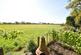 Additional image 49 of Cedarway, Gayton, Wirral
