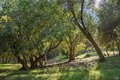 Additional image 21 of 10 Arrowhead Ln, Novato, CA, 94949