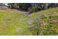 Additional image 7 of 2320 Painted Pony Rd, Somerset, CA, 95684