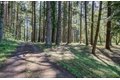 Additional image 22 of 22813 NE 28th St, Camas, WA, 98607