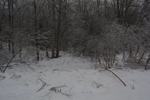 Additional image 6 of 0 Sucie Road, Highlands East, ON, K0L 2A0