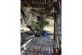 Additional image 6 of 79505 Avenue 38, Indio, CA, 92203