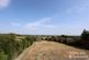 Additional image 30 of Wembdon Hill, Wembdon, Bridgwater TA6