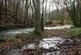 Coed Y Mwyn (just under 13 acres), Rhydymwyn, Mold, Flintshire CH7