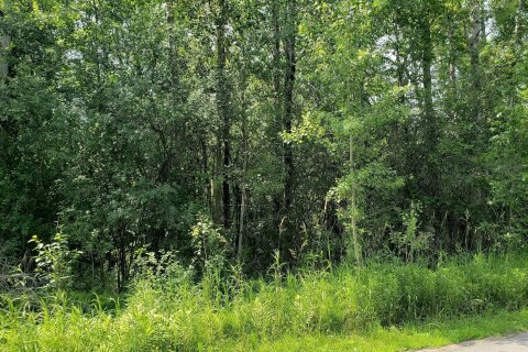 32 Nicholson Drive, Uxbridge, ON, L9P 1R2 photo 5