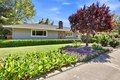 1701 S Springer Rd, Mountain View, CA, 94040 photo 4