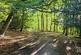 Additional image 13 of Stafford Road, Caterham, Surrey, CR3