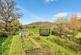Additional image 11 of Shute, Axminster