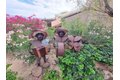 Additional image 24 of 4683 Desert Vista Dr, Borrego Springs, CA, 92004