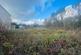 Additional image 4 of Dyffryn Road, Ammanford SA18