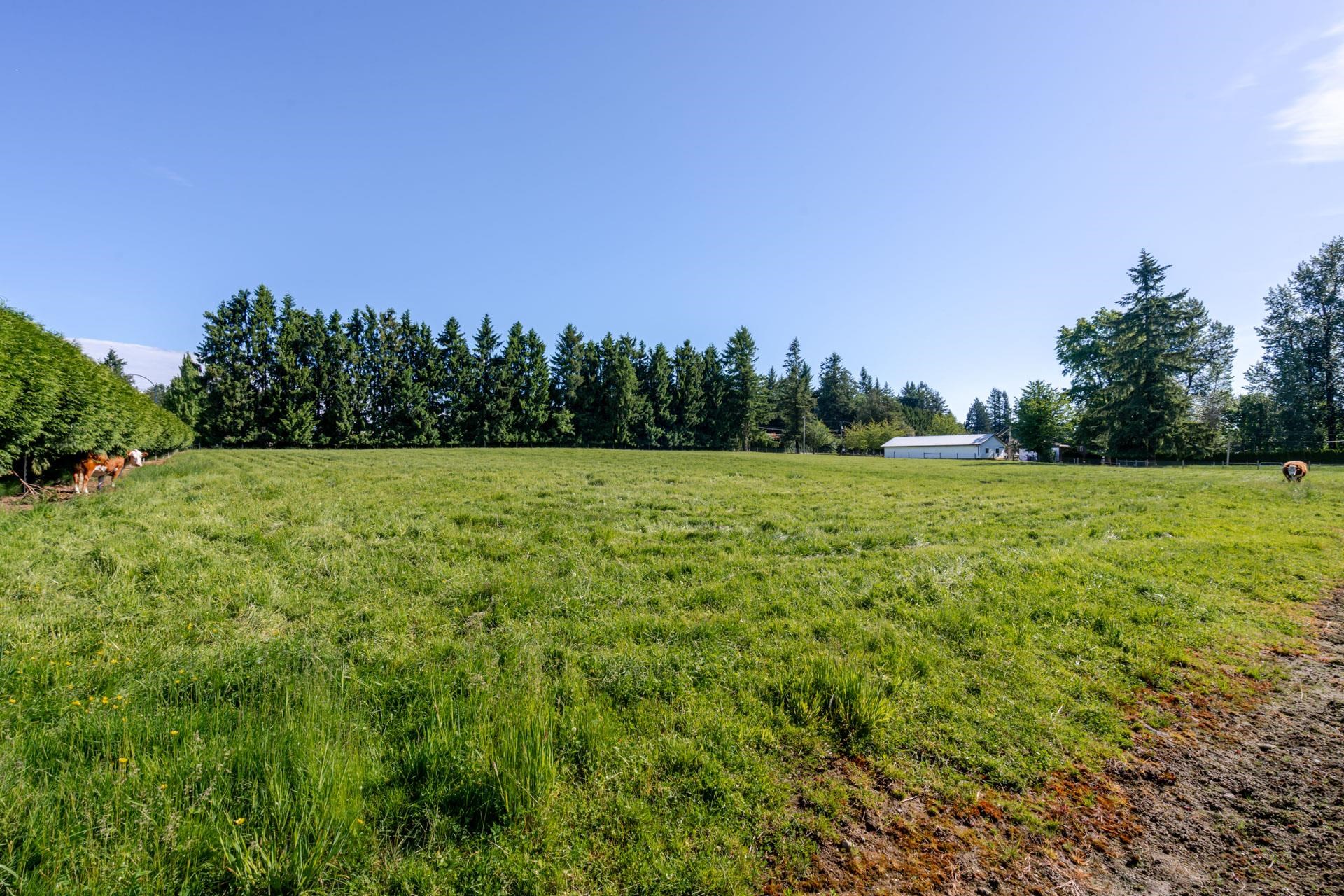 Additional image 6 of 5728 Bradner Road, Abbotsford, BC, V4X 2P1
