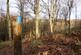 Additional image 17 of Coed Y Mwyn (just under 13 acres), Rhydymwyn, Mold, Flintshire CH7