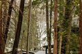 Additional image 33 of 180 E Bridger Ln, Shelton, WA, 98584