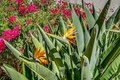 Additional image 44 of 12730 Monte Vista Rd, Poway, CA, 92064