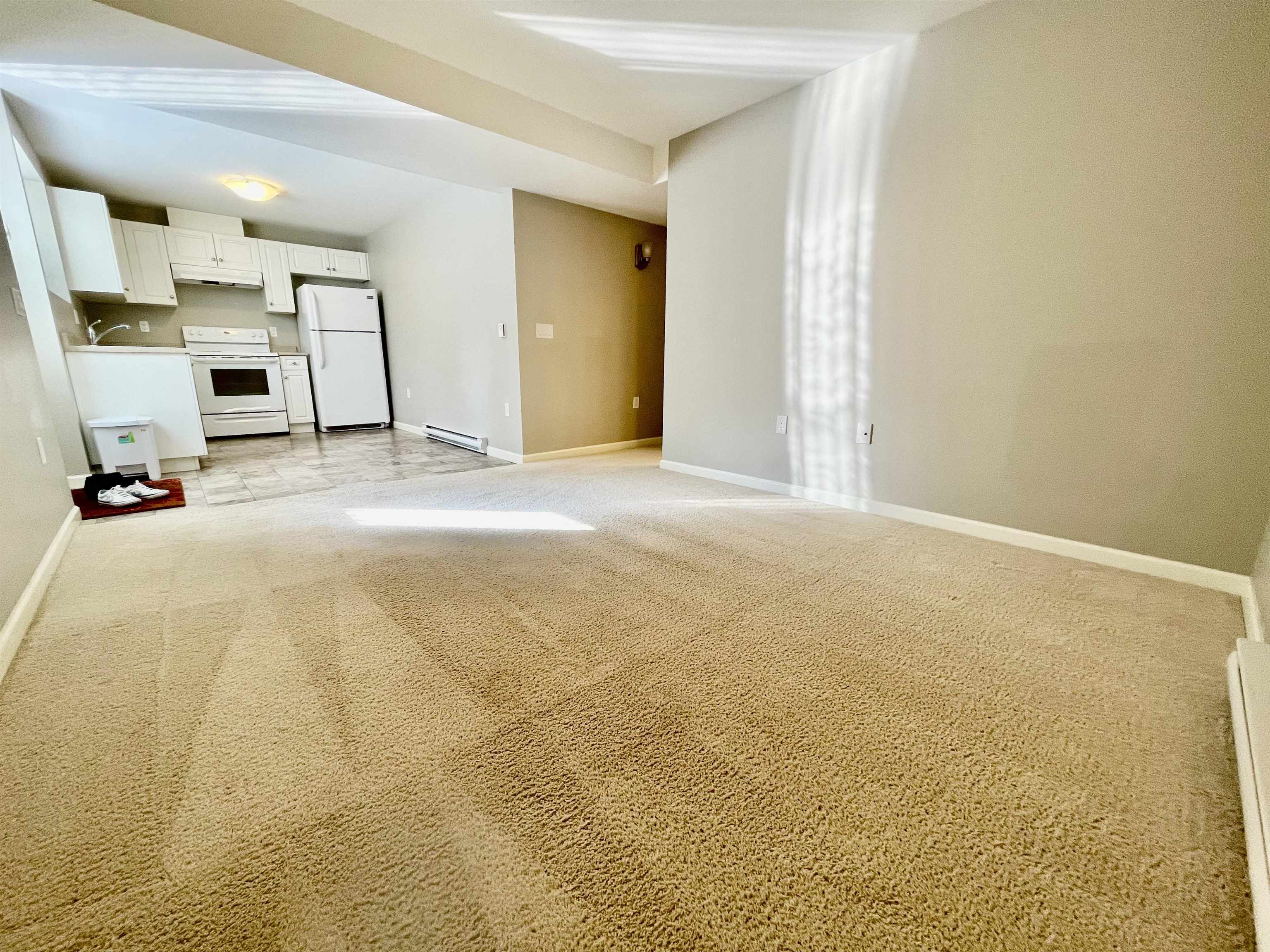Basement-790 211b Street, Langley, BC, V2Y 0H3