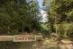 Coed Y Glog (over 4 acres), Llanfyllin, Powys SY22
