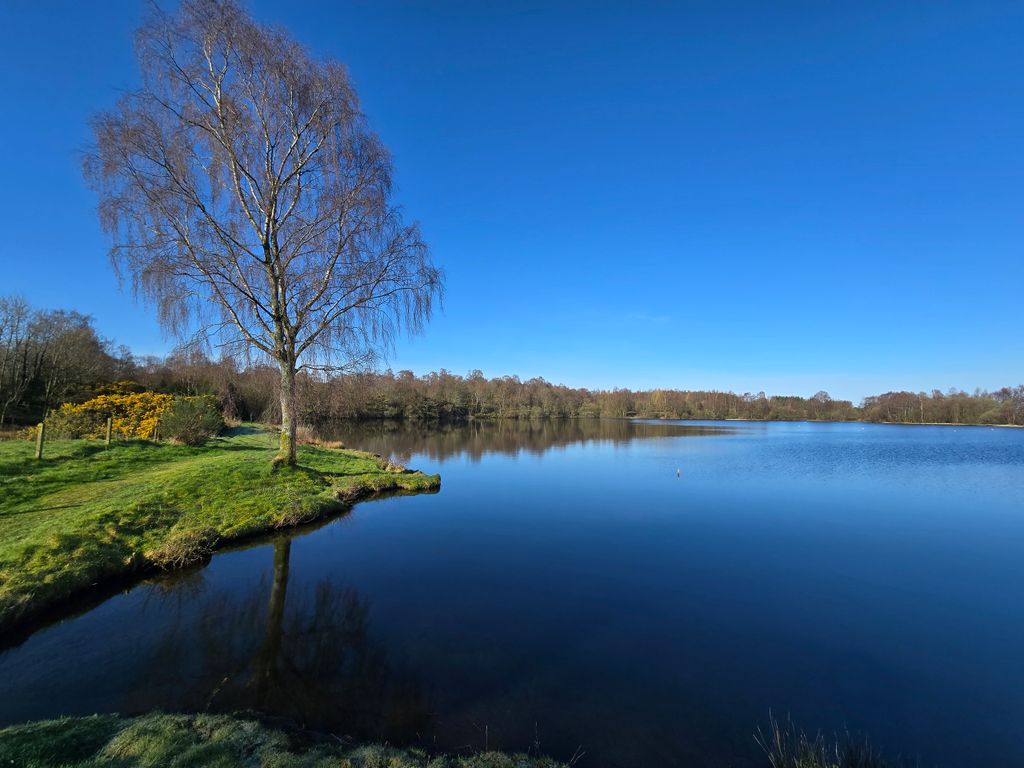 Additional image 2 of Land for saleWhitemoss Dam, Bishopton, Renfrewshire PA7