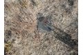 Additional image 3 of 100 Ankeny St, Goldendale, WA, 98620