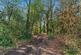 Additional image 5 of Bicknacre Road, Danbury