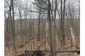 Winding Stair Rd, Hammondsport, NY, 14840