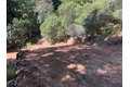 Additional image 30 of 7175 Redwood Retreat Rd, Gilroy, CA, 95020